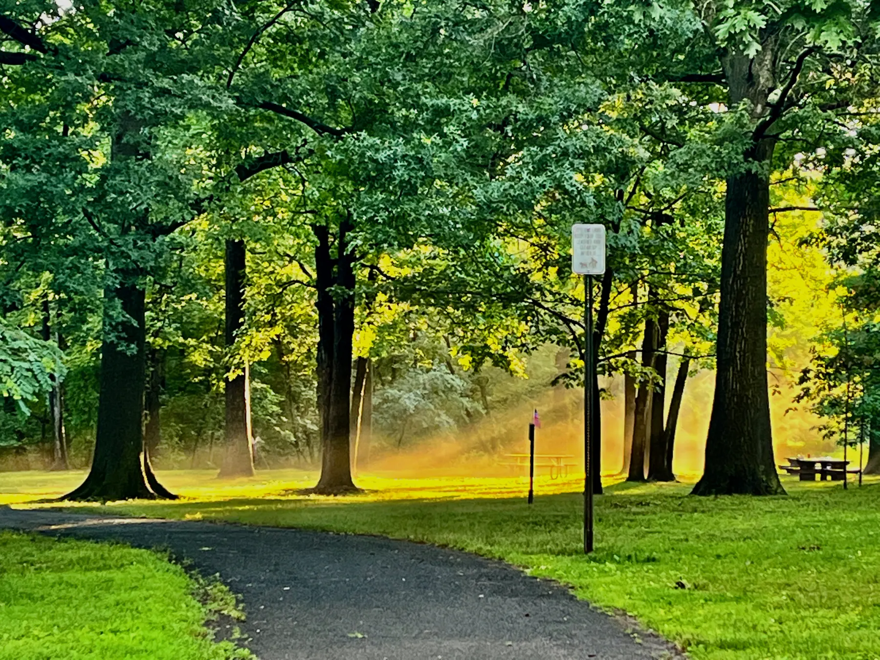 Green neighborhood park path with trees and open lawn for family walks.